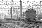EF1592 cՁ@q
