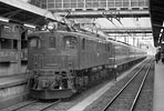 EF1592 cՁ@q