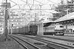 EF15146
