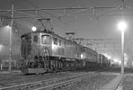 EF15135