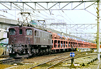 BIN-EF15101