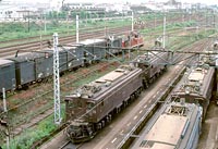 BIN-EF15106