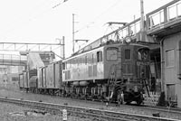 BIN-EF15117