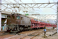 BIN-EF15161