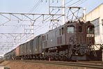 BIN-EF1551