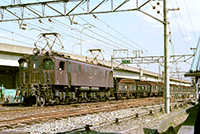 BIN-EF1557