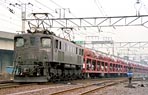 BIN-EF1565