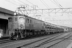 BIN-EF1581