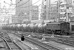 H-yamaguchi-ef15186
