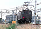 hiramatsu-EF15102