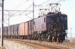 Hiramatsu-EF1535