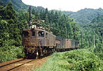 S.Hiramatsu-EF1543