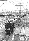 ohno-ef15181
