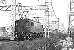 ohno-ef15195
