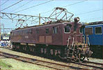 shinohara-EF1558