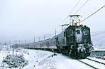 torakichi-EF15165