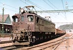 sugi-ef1574