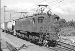 sugi-EF15105
