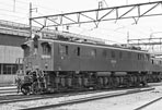sugi-ef15111
