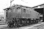 sugi-ef15112