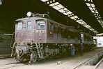 sugi-ef15117
