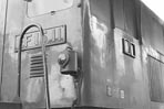 sugi-ef1511