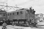 sugi-EF15124