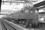 sugi-ef15136