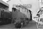 sugi-ef15136