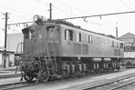sugi-ef15136