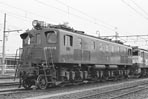 sugi-ef15170