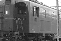 sugi-ef15171