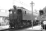 sugi-ef15171