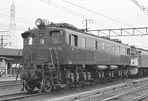 sugi-ef15173