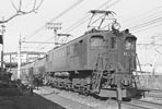 sugi-ef15186