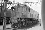 sugi-ef15190