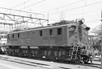 sugi-ef15193