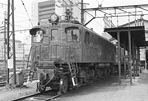 sugi-ef1534