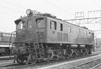 sugi-ef1541