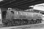 sugi-ef1542
