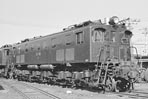 sugi-ef1562