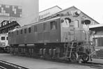 sugi-ef1562