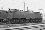 sugi-ef1562