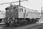 sugi-ef1562