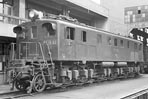 sugi-ef1562