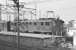 sugi-ef1574