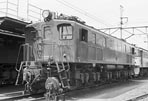 sugi-EF1580
