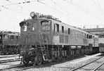 sugi-EF1581