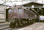 sugi-EF1580
