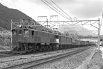 sasaki-EF1620